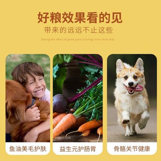 艾尔低聚糖成犬粮2.5kg主粮5斤狗粮泰迪贵宾金毛萨摩 商品图2