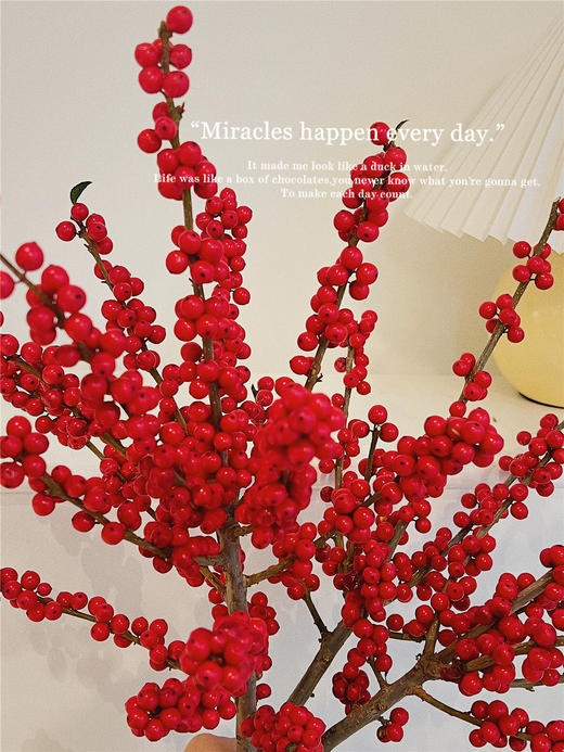 冬青珠光瓶  · 瓶插花   商品图3