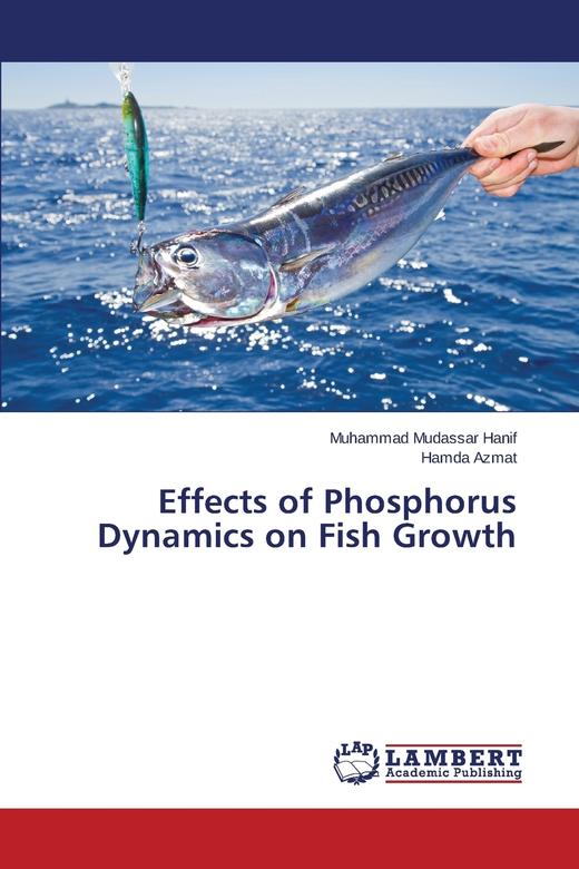 【预售 按需印刷】Effects of Phosphorus Dynamics on Fish Growth 商品图0