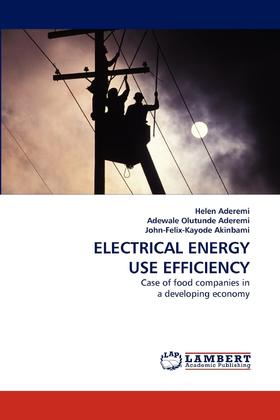 【预售 按需印刷】Electrical Energy Use Efficiency