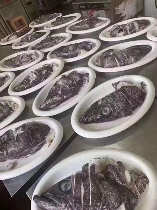 鳕鱼头1千克 商品图1