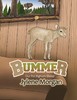 【预售 按需印刷】Bummer 商品缩略图0