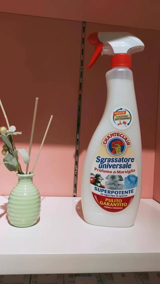 大公鸡去油污清洁剂 商品图0