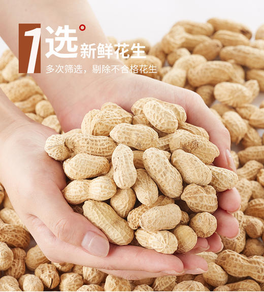 【强丽】 优质五香花生 商品图2