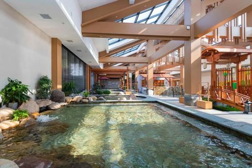 武义璟园+璟园汤温泉联票电子票 商品图4