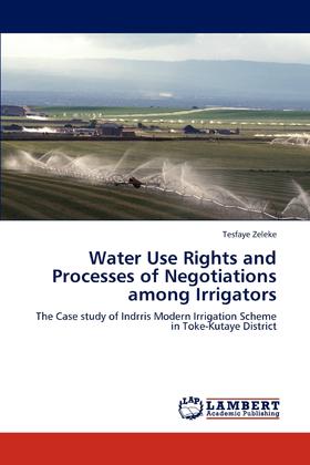 【预售 按需印刷】Water Use Rights and Processes of Negotiations among Irrigators