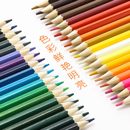 晨光12色筒装水溶性彩色铅笔AWP36809学生涂色笔绘画笔涂鸦笔 商品图3