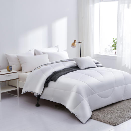 【惠慈】石墨烯羊毛被 商品图0