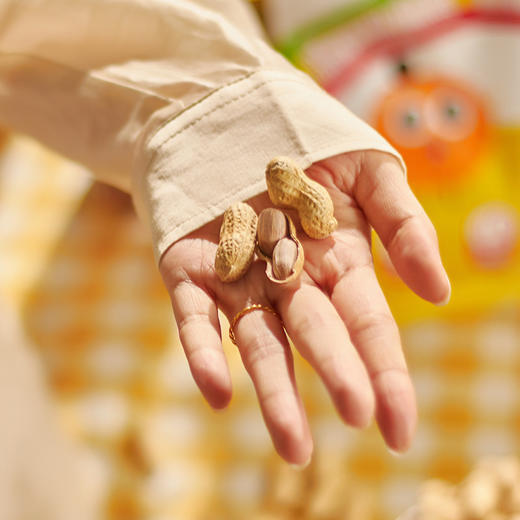 【广东味道】陈皮花生450克 传统制作 柑香浓郁 可口香脆 陈皮可泡水 办公休闲零食230克即食花生 商品图8