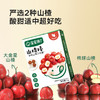 【宝宝馋了】山楂棒 （原味/蓝莓/桑椹） 原果打浆 送12月+婴幼儿食谱 商品缩略图2