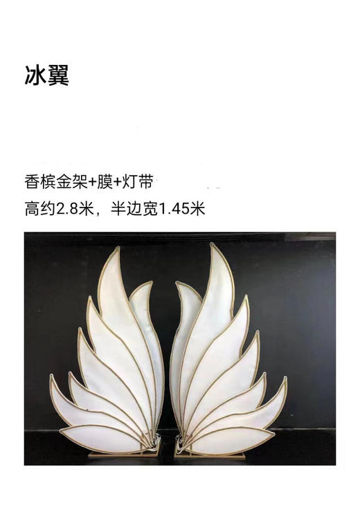 冰翼（运费自理） 商品图0