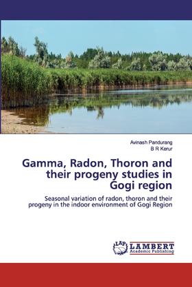 【预售 按需印刷】Gamma  Radon  Thoron and their progeny studies in Gogi region