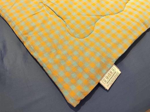 朴真水洗棉棉花春秋被 商品图2