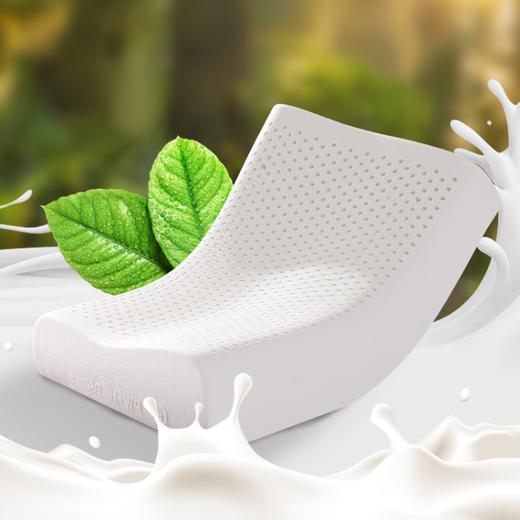 慕思（DeRUCCI）   曲线波浪成人枕  大枕头（单枕）PSZ1-161 商品图2