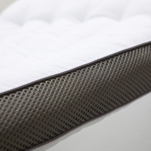 水星家纺 DH贝利芙薰衣草抗菌枕 48cm×74cm 商品图2