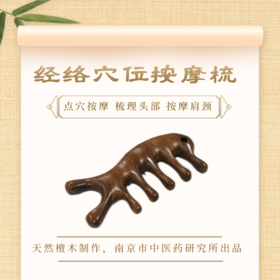经络穴位按摩梳