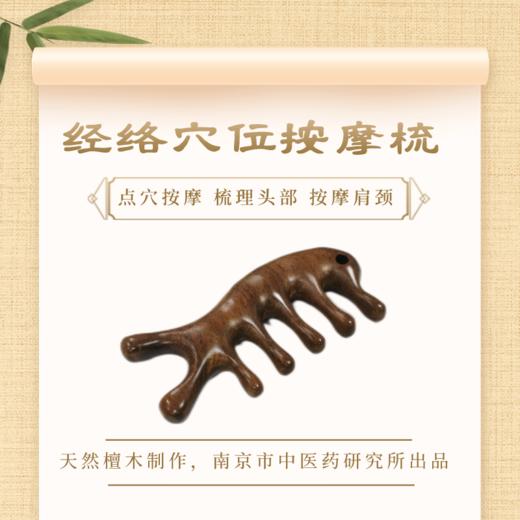 北京卫视养生堂健康日历2023+《祝您健康·养生堂》杂志2023全年+经络穴位按摩梳 下单日历即送穴位视频一套 商品图2