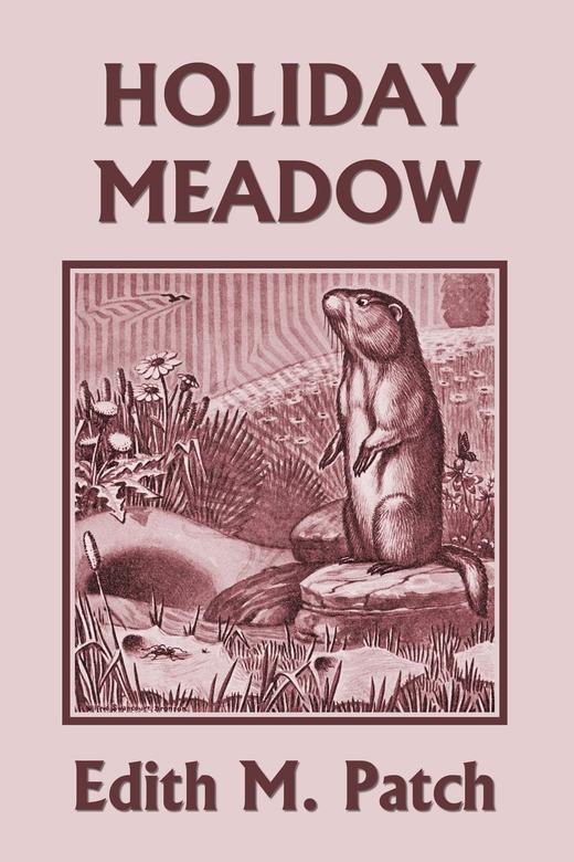 【预售 按需印刷】Holiday Meadow (Yesterday s Classics) 商品图0