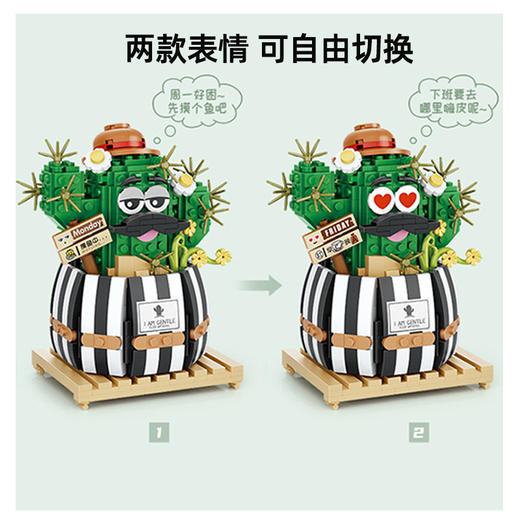 Loz积木-仙人掌/578PCS 商品图0