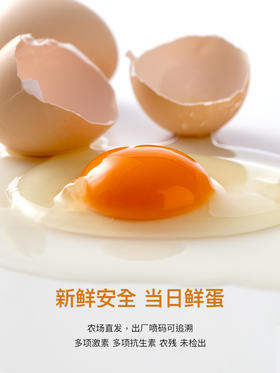 DHA可生食鸡蛋 30枚装