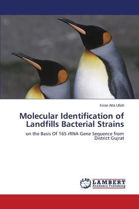 【预售 按需印刷】Molecular Identification of Landfills Bacterial Strains