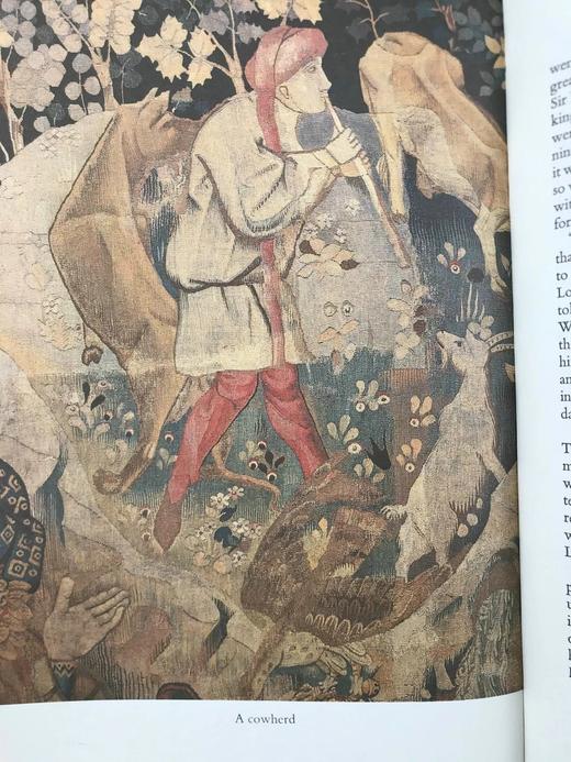 玫瑰战争中的帕斯顿家族 10幅彩色插图 精装18开带书匣 商品图9