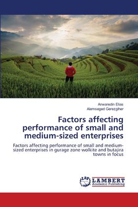 【预售 按需印刷】Factors affecting performance of small and medium-sized enterprises