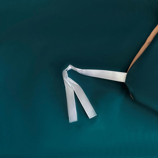 水星家纺  DH菲尔丝 商品图4