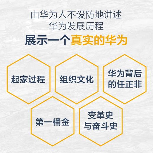 华为访谈录2 田涛 编 华为访谈录系列 一部华为历史故事辞典 听华为人讲述华为发展历程 中信出版 商品图1