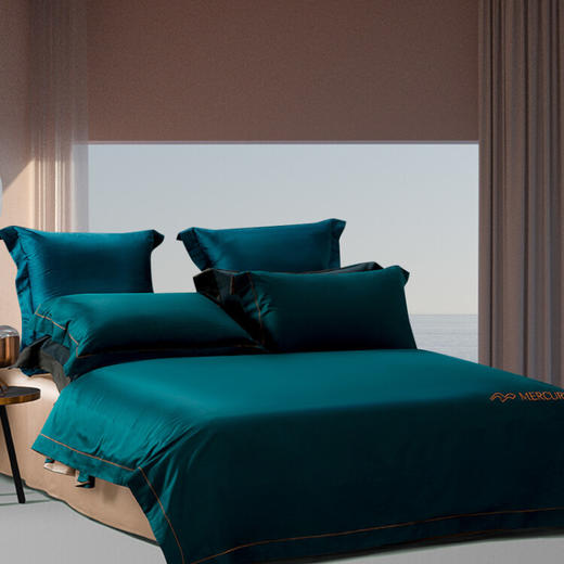 水星家纺  DH菲尔丝 商品图2