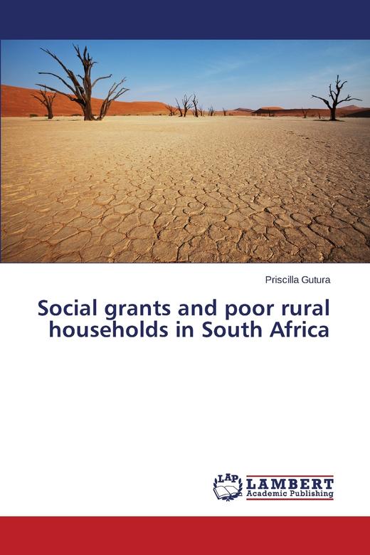 【预售 按需印刷】Social grants and poor rural households in South Africa 商品图0