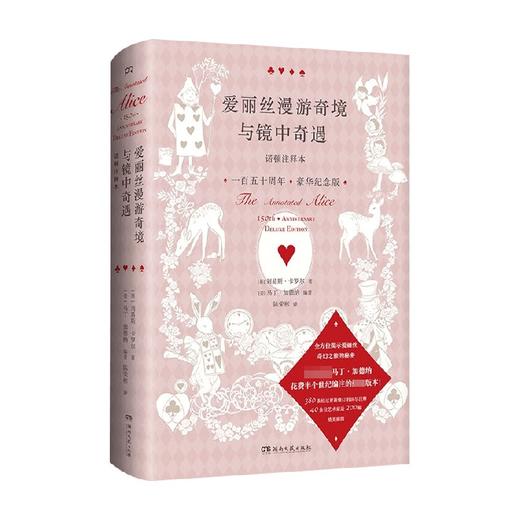 爱丽丝漫游奇境与镜中奇遇 诺顿注释本 普通版 刘易斯·卡罗尔 著 外国经典文学 商品图3