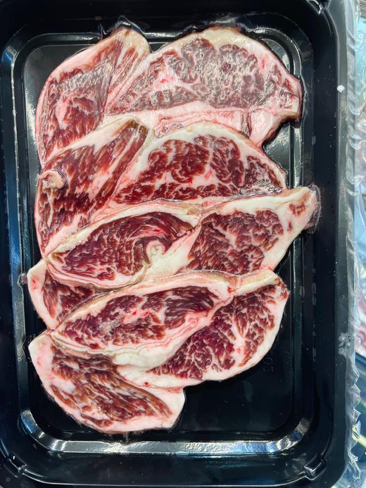 极佳外裙 商品图0