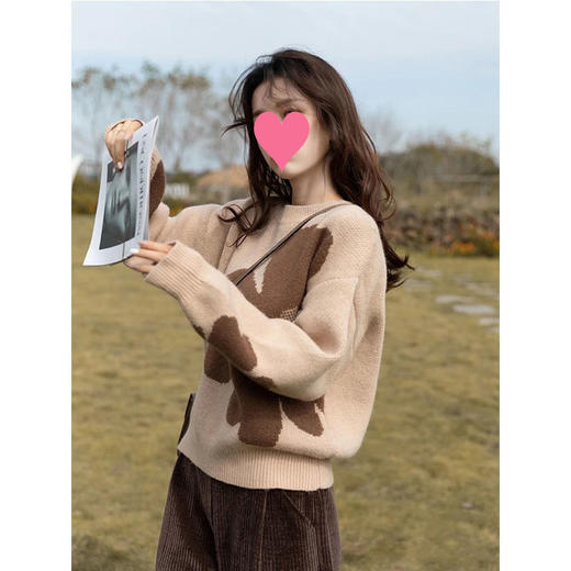 软糯圆领提花毛衣女2022秋冬新品韩版宽松外穿慵懒风套头针织衫 商品图2