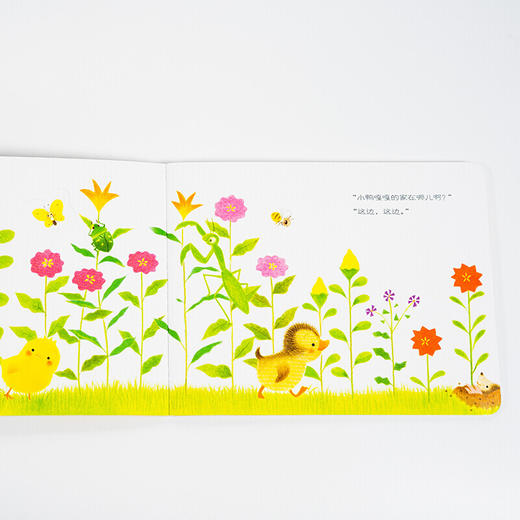 小鸡球球成长绘本系列：6册&9册（点读版） 商品图6