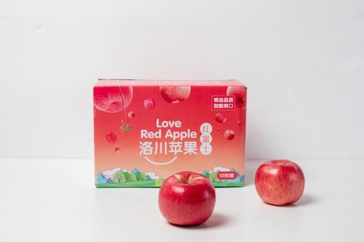 洛川苹果｜弘田富士 可以带皮吃的国礼级苹果 4.8-8斤装 精致手提礼盒 商品图3
