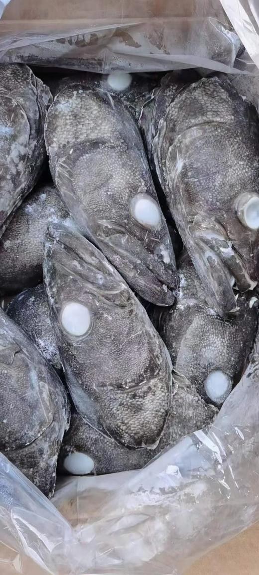 鳕鱼头1千克 商品图8