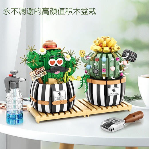 Loz积木-仙人掌/578PCS 商品图1