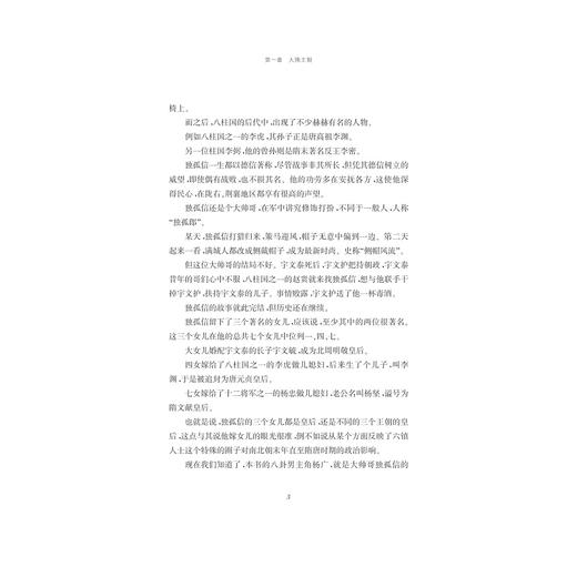 帝王失格：隋朝的崩坏史/杜若/浙江大学出版社 商品图3