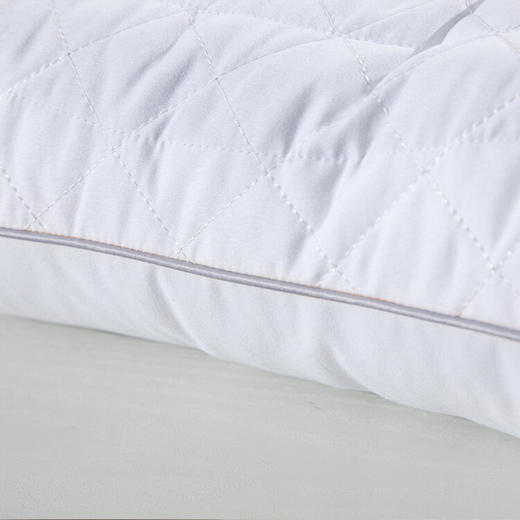 水星家纺 DH闲逸决明子抗菌枕 123037 商品图2