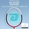 红双喜羽毛球拍300铁合金一体球拍2支初学娱乐对拍 商品缩略图4