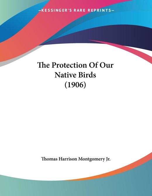 【预售 按需印刷】The Protection Of Our Native Birds (1906) 商品图0