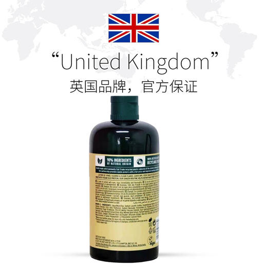 【中欧班列精选】英国生姜洗发水  The Body Shop 小铺生姜固养止痒去屑洗发水400ml/瓶 商品图1