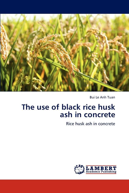 【预售 按需印刷】The use of black rice husk ash in concrete 商品图0