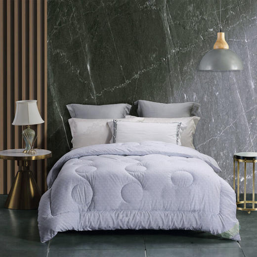 水星家纺 DH悠然负离子四季被   200X230cm 117758 商品图0