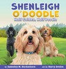 【预售 按需印刷】Shenleigh O Doodle  Half Golden  Half Poodle 商品缩略图0