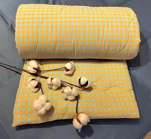 朴真水洗棉棉花春秋被 商品图1