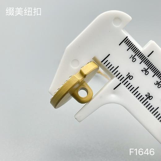 F1646(整包购买) 商品图6