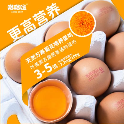 咯咯哒金鸡蛋30枚礼盒装可生食无菌新鲜寿喜锅鸡蛋 商品图1