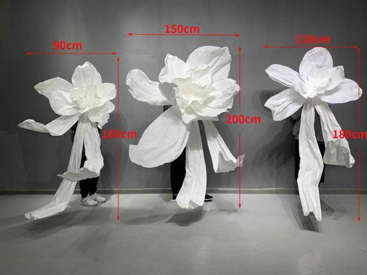 凤蝶（运费自理） 商品图0